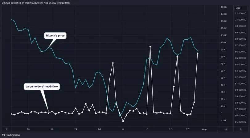 Mặc thị trường bão bùng, "tay to" vẫn mua thêm 5,4 tỷ USD Bitcoin trong tháng 7