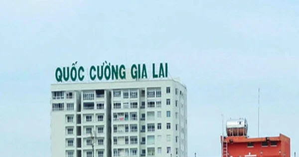 Quốc Cường Gia Lai làm ăn ra sao trước khi Tổng Giám đốc bị bắt?