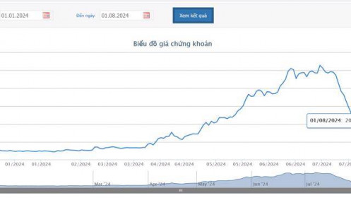 Quý 2/2024, HVN ghi nhận lãi trước thuế 1.146 tỷ và giải trình lộ trình khắc phục tình trạng cổ phiếu bị kiểm soát