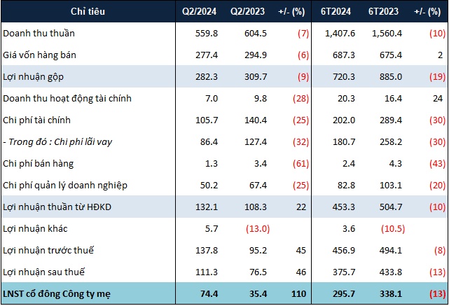 "Của để dành" của HDG còn xấp xỉ 10 tỷ đồng vào cuối tháng 6/2024