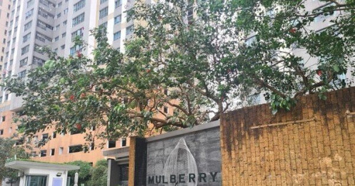 Nữ thư ký Ban quản trị chung cư Mulberry Lane bị khởi tố vì làm giả giấy tờ tham ô tài sản