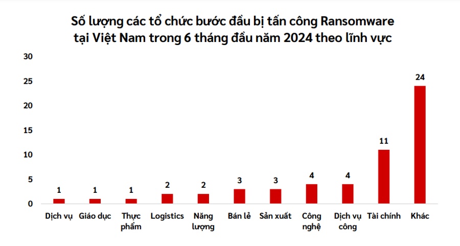 Hơn 61 triệu tài khoản, bản ghi thông tin cá nhân bị lộ lọt trong nửa đầu năm 2024