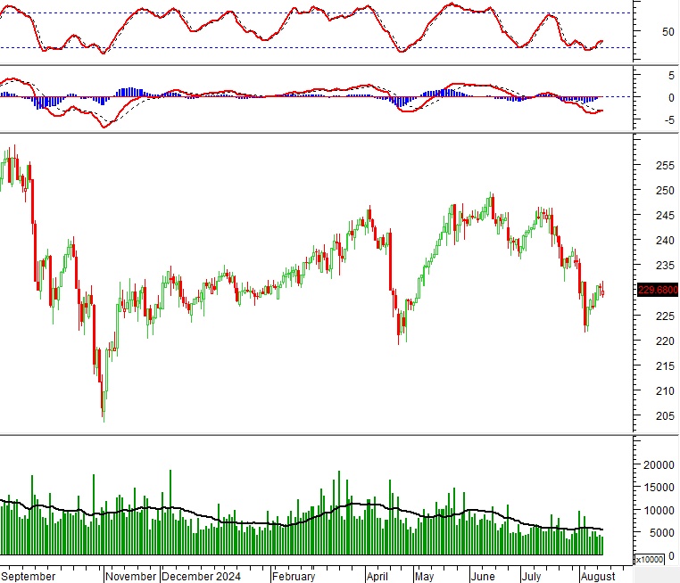 Vietstock Daily 15/08/2024: Kỳ vọng khối lượng phục hồi