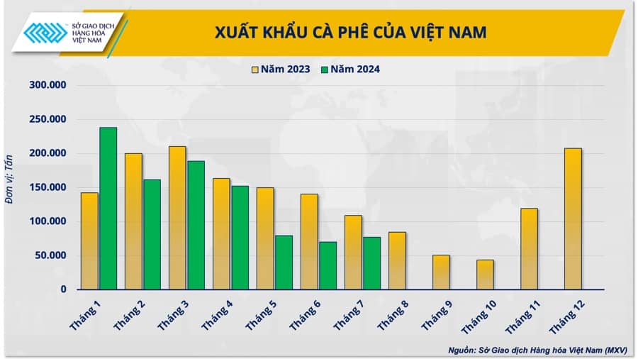 Giá cà phê trong nước "lệch nhịp" với thế giới