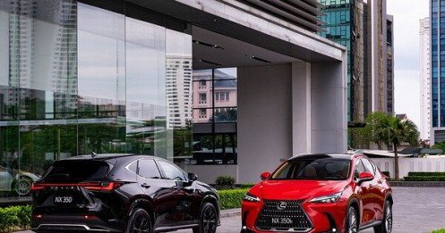 Hơn 600 xe Lexus tại Việt Nam bị triệu hồi để sửa lỗi