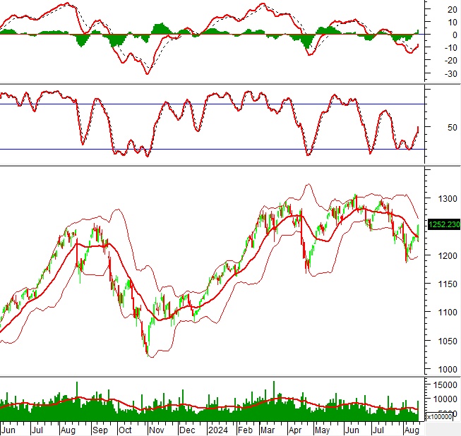 Phân tích kỹ thuật chứng khoán Việt Nam: Tuần 19-23/08/2024