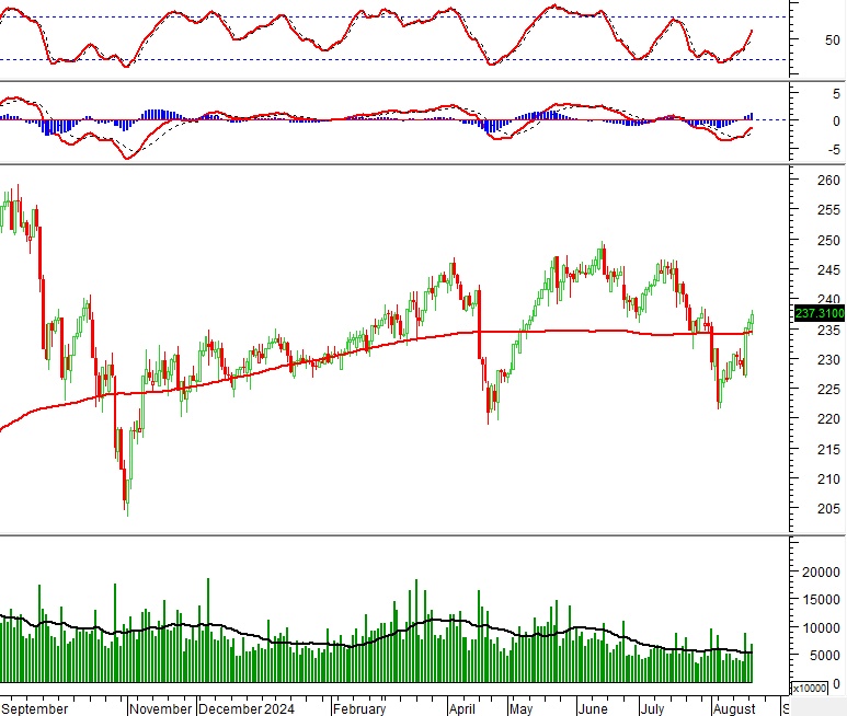 Vietstock Daily 21/08/2024: Tiếp nối đà tăng