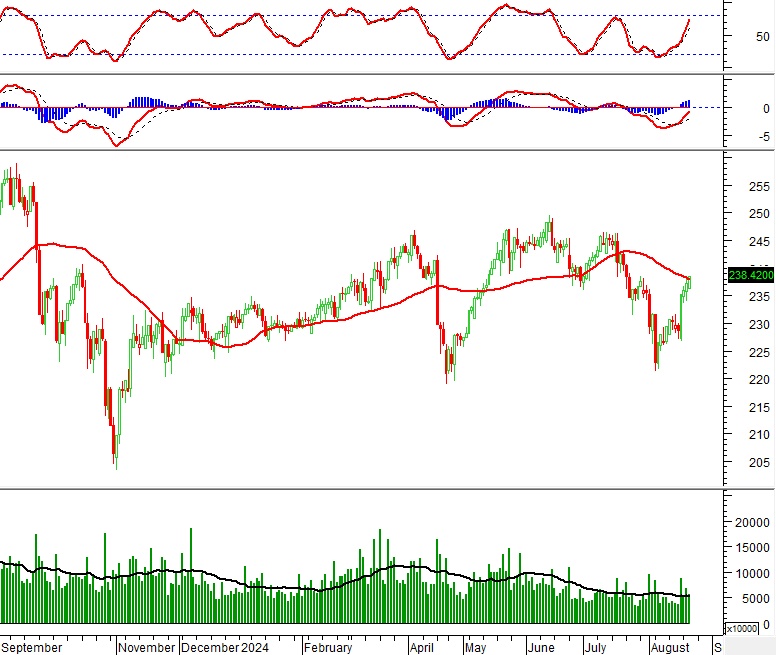 Vietstock Daily 22/08/2024: Tiếp tục đà hưng phấn