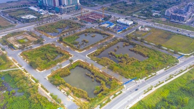 “Cơn sốt” đất đấu giá và nỗ lực làm trỗi dậy tâm lý FOMO, thổi bùng “sốt đất”