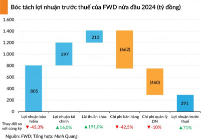 FWD Việt Nam kinh doanh bết bát, lỗ khủng hơn 5.800 tỷ đồng