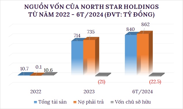 North Star Holdings hết nợ trái phiếu, vốn chủ âm hơn 22 tỷ đồng