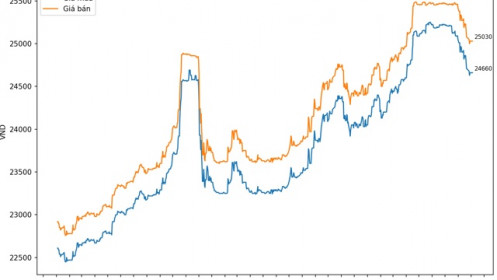 Tỷ giá thủng mốc 25.000 đồng/USD, chứng khoán sẽ diễn biến ra sao?
