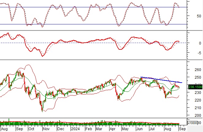 Phân tích kỹ thuật phiên chiều 05/09: Thị trường diễn biến phân hóa