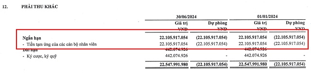 FID nói gì về việc tiếp tục lỗ nửa đầu năm 2024 và nhận ý kiến ngoại trừ của kiểm toán?