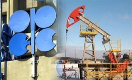 OPEC+ hoãn kế hoạch nâng sản lượng