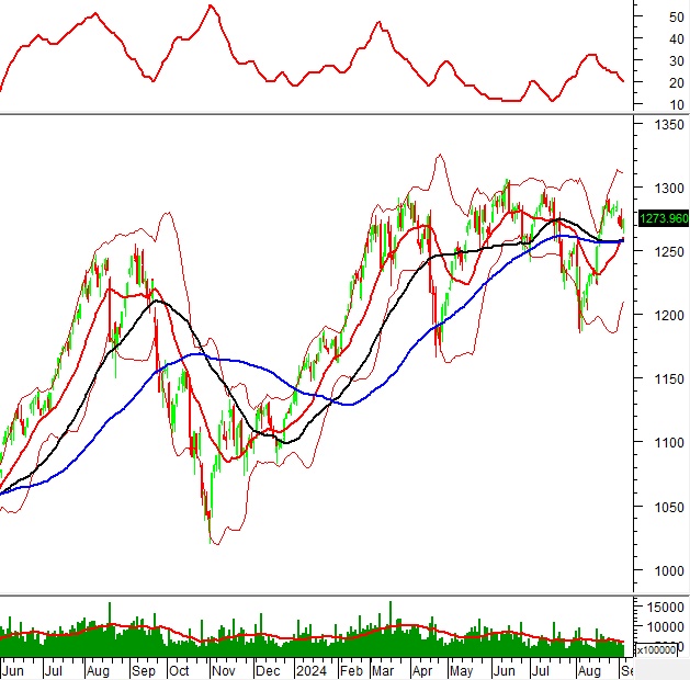 Phân tích kỹ thuật chứng khoán Việt Nam: Tuần 09-13/09/2024