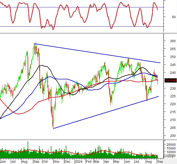 Phân tích kỹ thuật chứng khoán Việt Nam: Tuần 09-13/09/2024