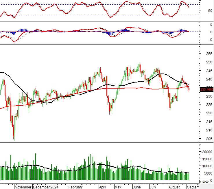 Vietstock Daily 10/09/2024: Rủi ro điều chỉnh gia tăng
