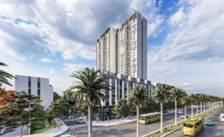 Cổ đông BTH sắp nhận cổ tức sau hơn 1 thập kỷ ‘trắng tay’