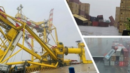 Sau bão Yagi, nhiều cảng thông báo sớm hoạt động trở lại