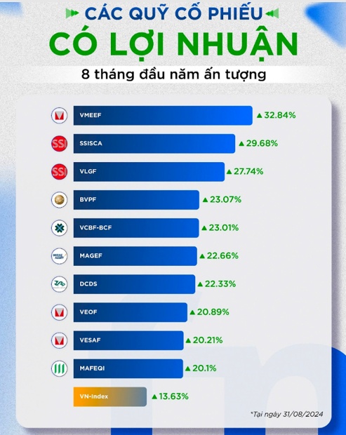 8 tháng đầu năm, VN-Index phục hồi hơn 13%, các quỹ mở có lợi nhuận ra sao?