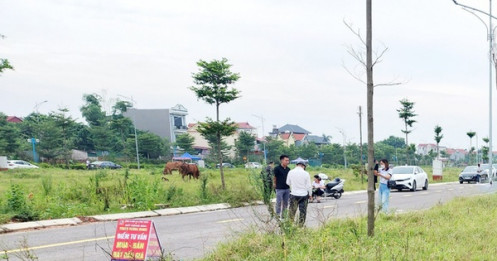 Huyện ngoại thành Hà Nội đấu giá hơn 100 lô đất