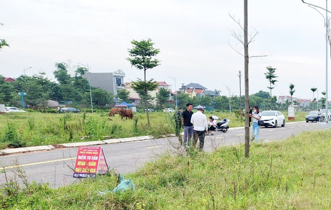 Huyện ngoại thành Hà Nội đấu giá hơn 100 lô đất