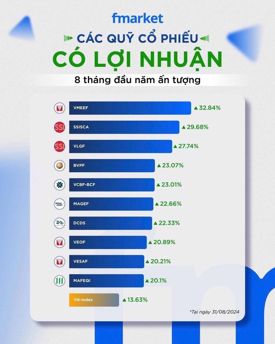 Lợi nhuận các quỹ mở ra sao khi VN-Index tăng hơn 13% trong 8 tháng?