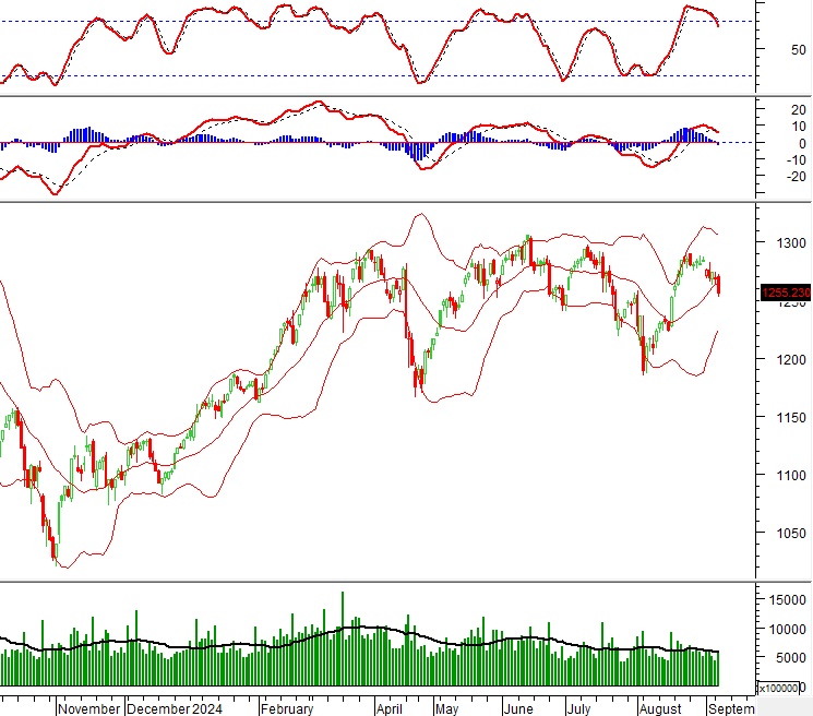 Vietstock Daily 11/09/2024: Sự bi quan đang lớn dần