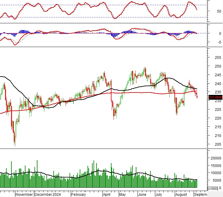 Vietstock Daily 11/09/2024: Sự bi quan đang lớn dần