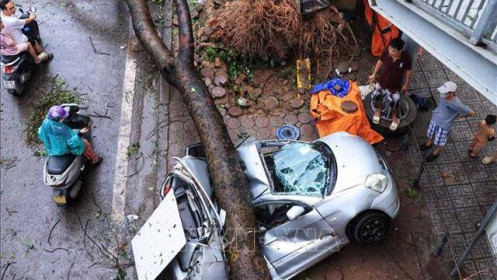 Doanh nghiệp bảo hiểm gấp rút giám định, bồi thường cho khách hàng bị thiệt hại do bão, lũ