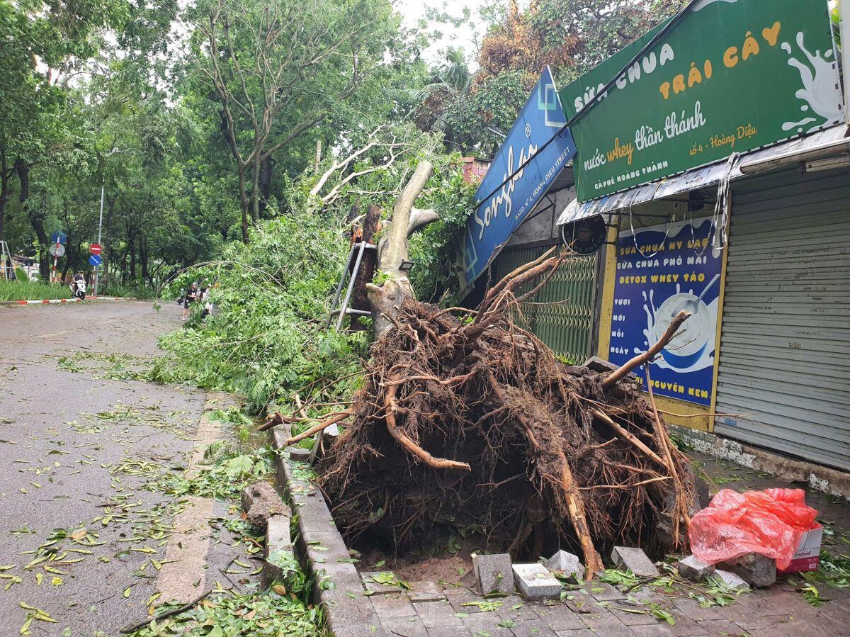 Cảnh khu đô thị, khu chung cư hoang tàn sau bão