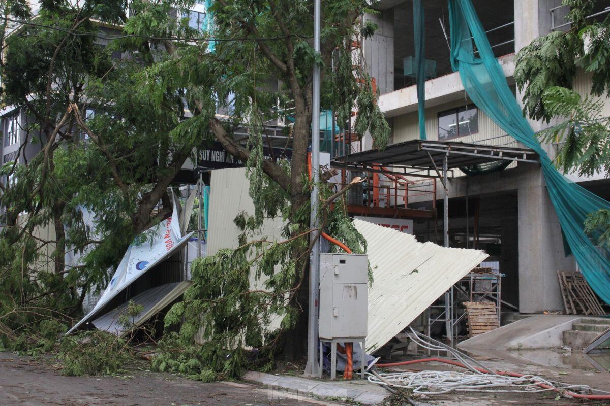 Cảnh khu đô thị, khu chung cư hoang tàn sau bão