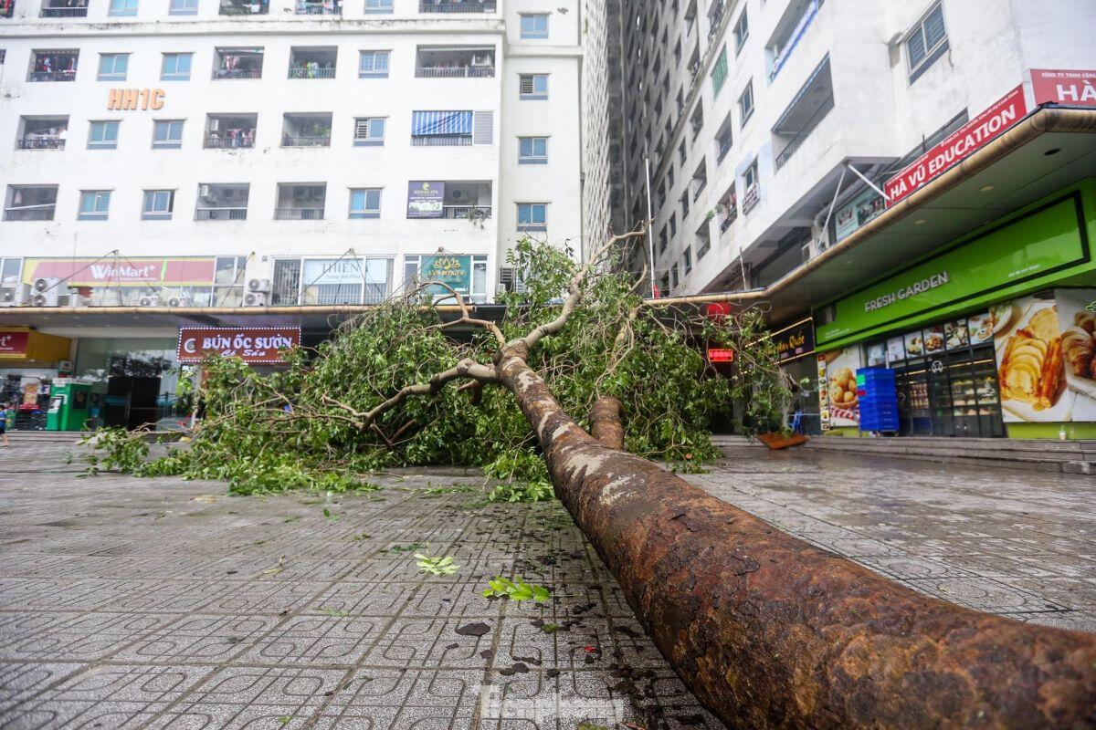 Cảnh khu đô thị, khu chung cư hoang tàn sau bão