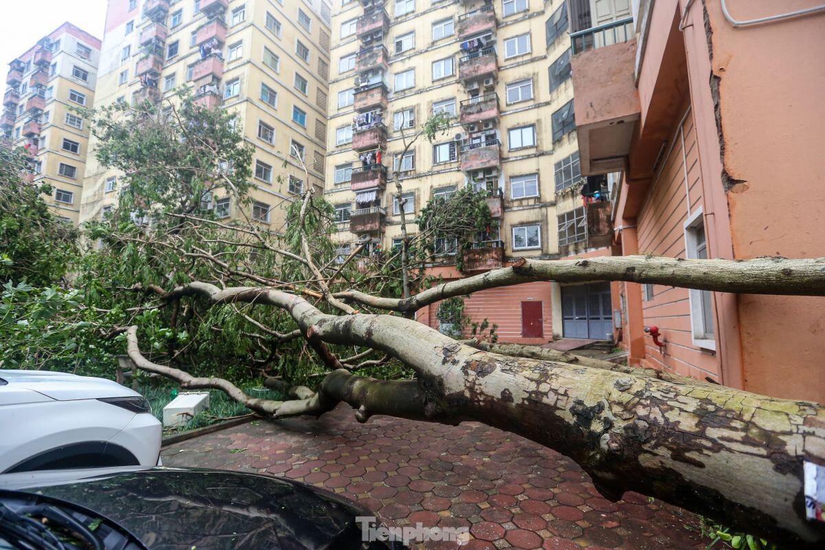 Cảnh khu đô thị, khu chung cư hoang tàn sau bão