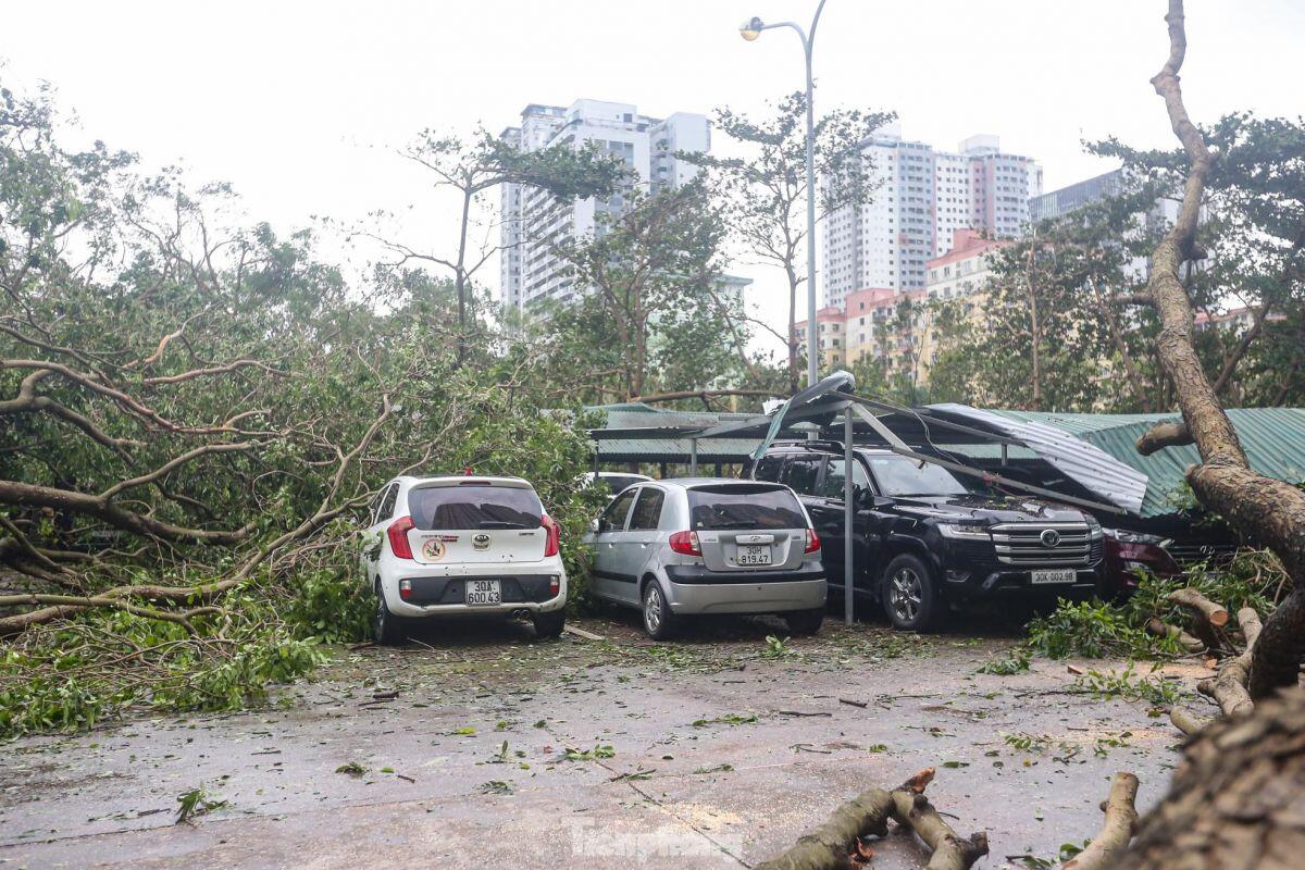 Cảnh khu đô thị, khu chung cư hoang tàn sau bão