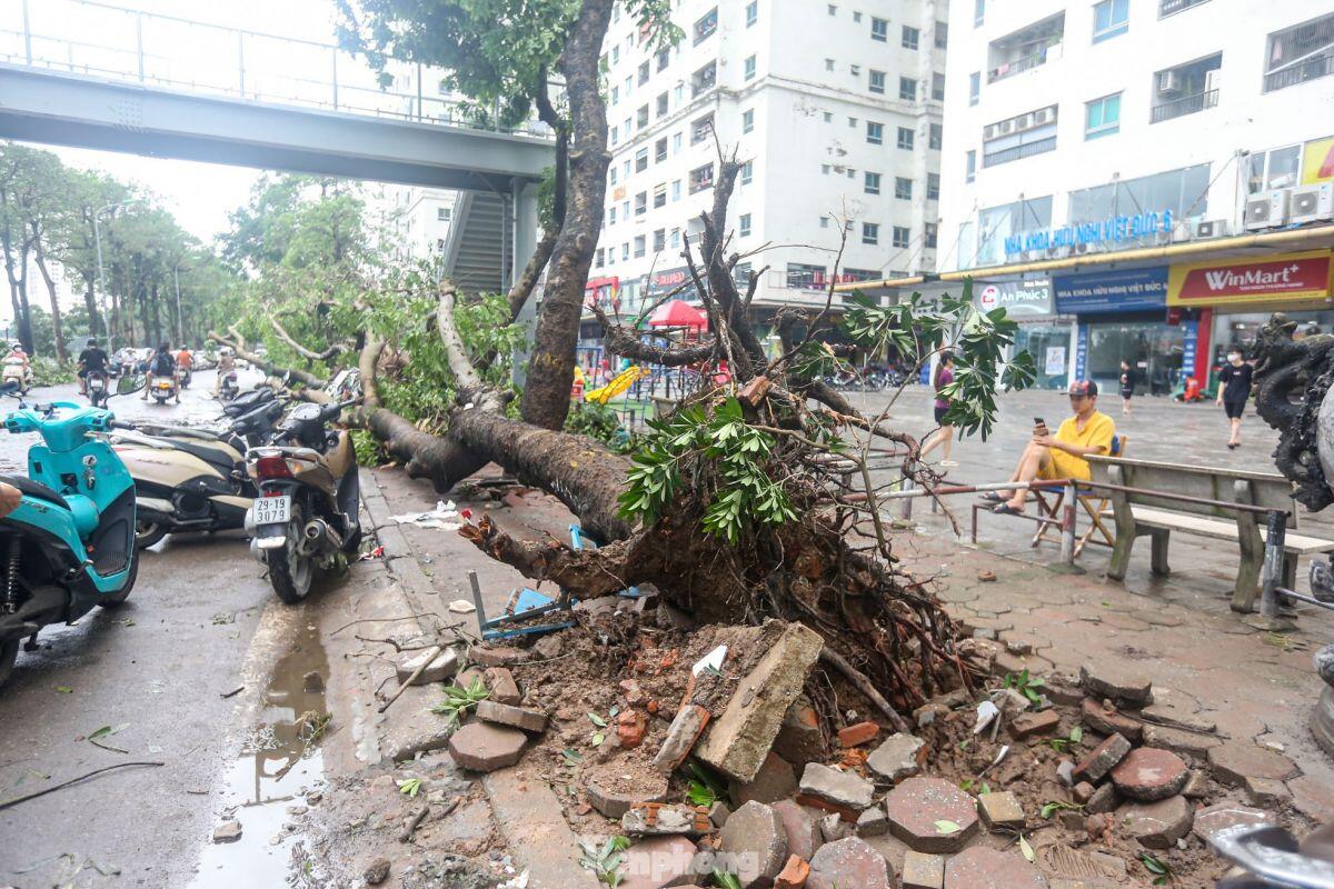 Cảnh khu đô thị, khu chung cư hoang tàn sau bão