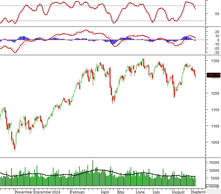 Vietstock Daily 12/09/2024: Triển vọng ngắn hạn vẫn còn bi quan