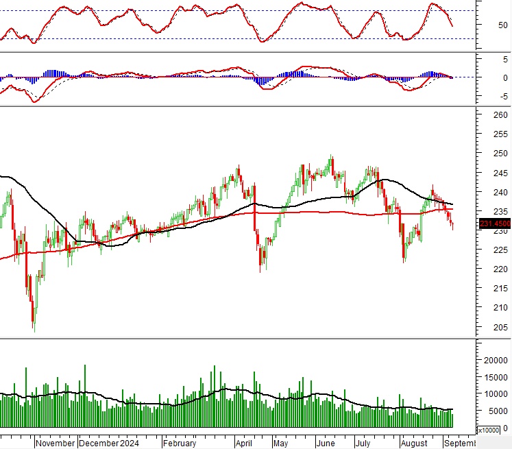 Vietstock Daily 12/09/2024: Triển vọng ngắn hạn vẫn còn bi quan