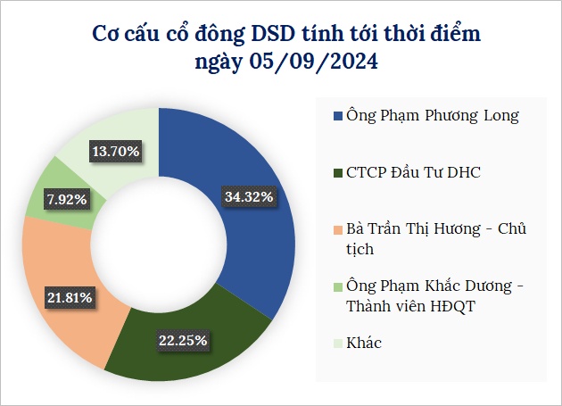 Một cá nhân chi hơn 200 tỷ mua toàn bộ 10.5 triệu cp DSD vừa phát hành