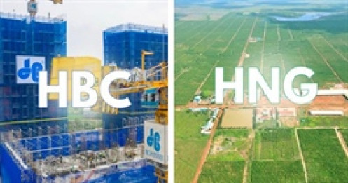 HNG và HBC sẽ giao dịch trở lại trên UPCoM từ 18/09