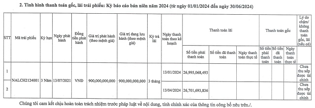 Nam Land ngụp lặn trong thua lỗ, tiếp tục nợ lãi trái phiếu