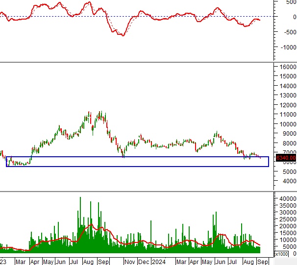 Ngày 12/09/2024: 10 cổ phiếu nóng dưới góc nhìn PTKT của Vietstock