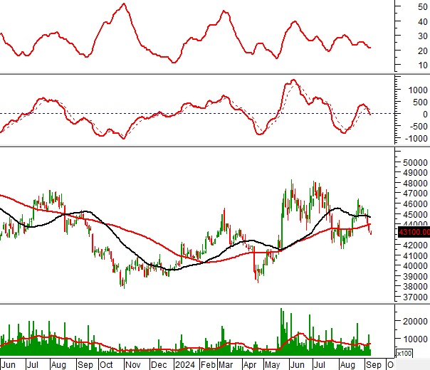 Ngày 12/09/2024: 10 cổ phiếu nóng dưới góc nhìn PTKT của Vietstock