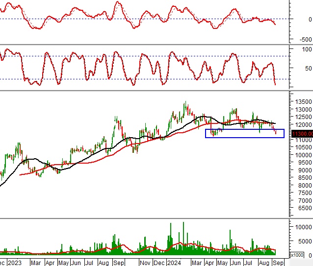 Ngày 12/09/2024: 10 cổ phiếu nóng dưới góc nhìn PTKT của Vietstock