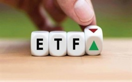 VNM ETF mua ròng mạnh, bán hết HNG