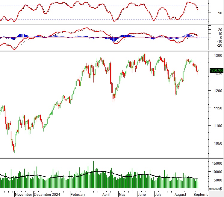 Vietstock Daily 13/09/2024: Chưa thể lạc quan trong ngắn hạn?