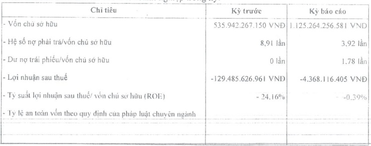 Tân Liên Phát Tân Cảng kinh doanh ra sao nửa đầu năm?