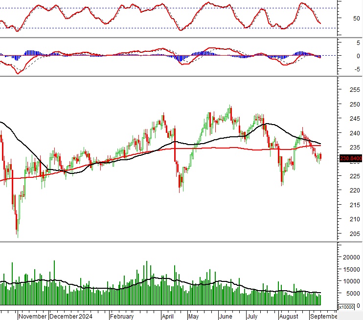 Vietstock Daily 17/09/2024: Triển vọng ngắn hạn vẫn còn bi quan