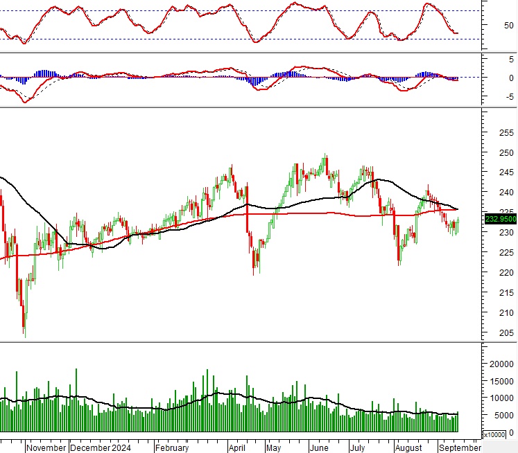 Vietstock Daily 19/09/2024: Tiếp nối đà tăng